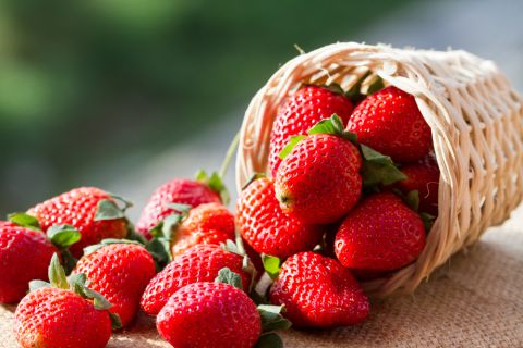 World's most expensive strawberry sells out at $350 piece
