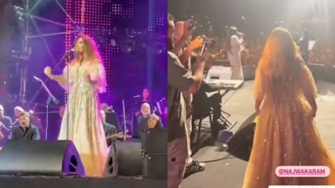 Morocco earthquake forces Najwa Karam to stop her concert (video)