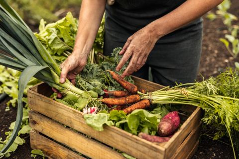 Healthy morning habits to improve digestion