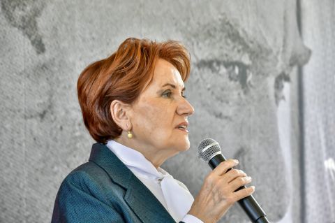 Politician Meral Akşener calls Syrians in Turkey to go to Gaza, fight Israel