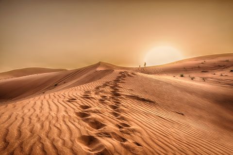 How an ancient society thrived in the Sahara without water