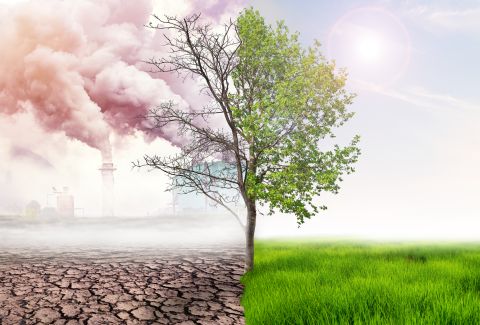 Causes of cancer in Europe are 5% caused by pollution