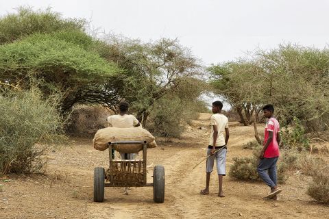 Sudanese forces trade fire across Nile amid atrocities in Darfur