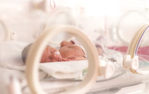Tragic decomposition of infants in Gaza hospitals expose the Israeli barbaric actions