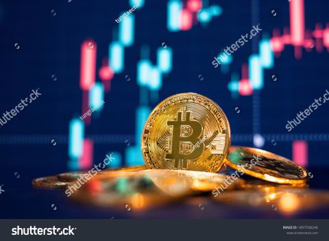 عملة البتكوين تحلق في تركيا