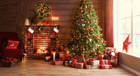 London firm rents real Christmas trees