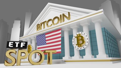 97% of Bitcoin holders are in profit new data shows
