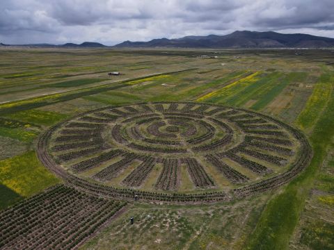 Ancient farming technique revived to combat climate crisis