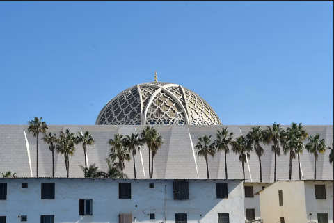 السعودية تعلن إحباط تهريب 1.3 مليون حبة مخدرة.. أين وجدتها؟