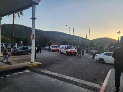 عملية