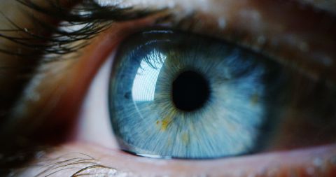 The mysteries of blue eyes uncovered in a study