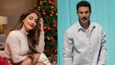 Is Turkish series Ezel getting Arabic copy, here are possible stars