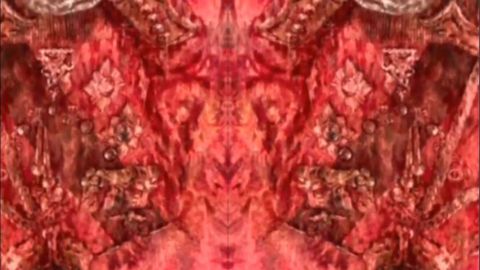 Satanic worshipping hint found hidden in King Charles' portrait