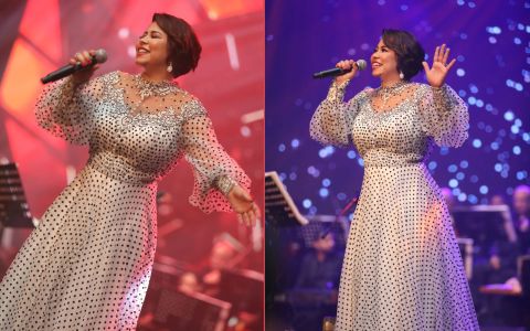 Sherine Abdel Wahab's emotional breakdown on stage in Kuwait: speculation and praise follow