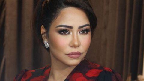 شيرين عبد الوهاب في المصحة النفسية مجددا و حسام حبيب يخرج عن صمته
