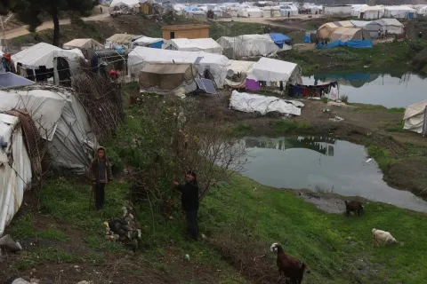 لونا الشبل مستشارة