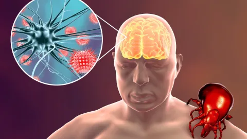 فيروس غرب النيل: الأعراض، طرق الوقاية والعلاج