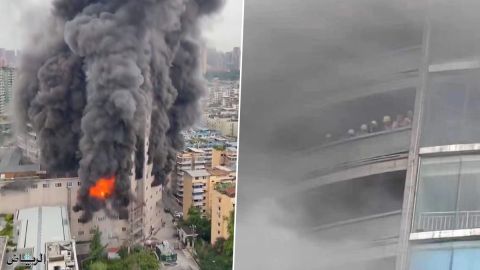 بالفيديو كيف تحدى مرفأ بيروت جريمة تفجيره واستعاد كامل طاقته؟