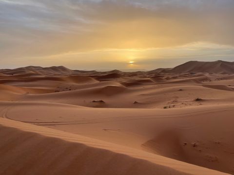 14, including 12 Syrian migrants, found dead in Algerian desert