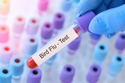 CDC confirms the sixth Colorado bird flu case