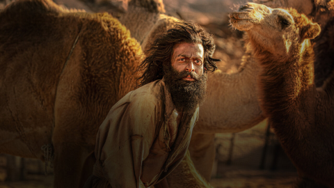 الفيلم الهندي 