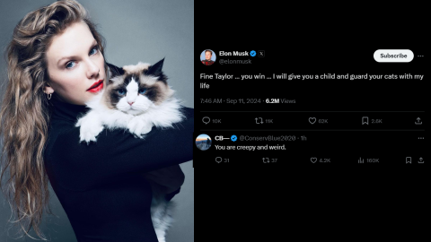 400k Americans visit Vote.gov amid Taylor Swift's Harris endorsement