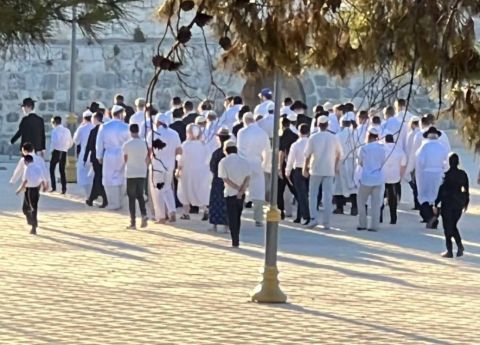 اقتحامات متطرفة للمسجد الأقصى في 