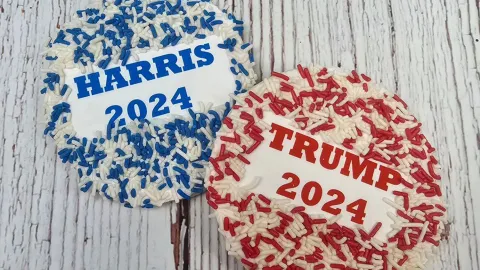 Blue or Red: How can cookies determine US 2024 election winner?