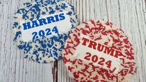 Blue or Red: How can cookies determine US 2024 election winner?