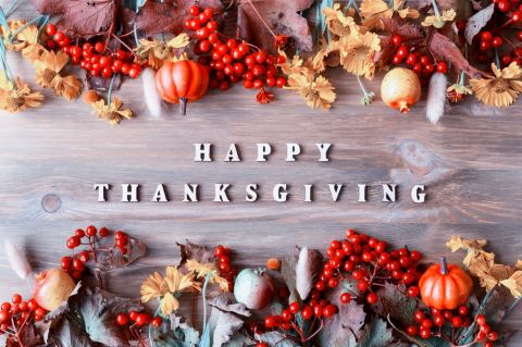What is Thanksgiving and where it is celebrated?