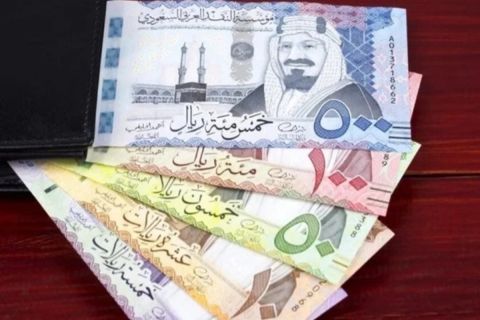 سعر الريال السعودي اليوم في مصر الثلاثاء 19 نوفمبر 2024