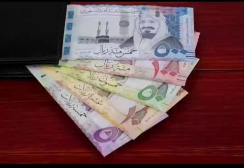 انخفاض سعر الريال السعودي اليوم في مصر الثلاثاء 12 نوفمبر 2024
