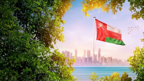 سعر الدولار اليوم في مصر الثلاثاء 12 نوفمبر 2024.. الأخضر ينخفض