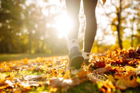 Study explains how going for a walk can boost brain