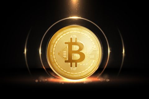 Bitcoin hits record $80,000 pushed by Trump’s victory