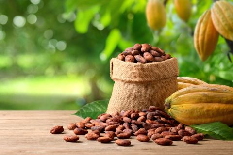 Cocoa prices see a new record of nearly $13K per ton