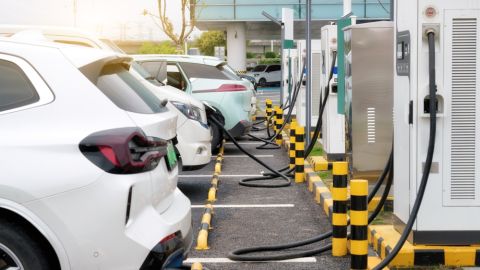 Electric vehicles predicted to make up 30% of Turkey's auto market