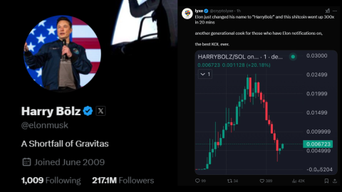 Musk changes X username to Harry Bōlz, $HARRYBOLZ cryptocurrency spikes