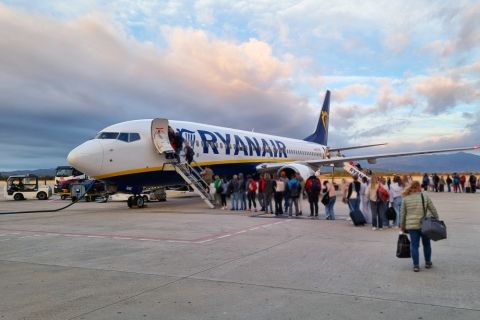 Stowaway cat grounds plane for two days after entering electrical bay