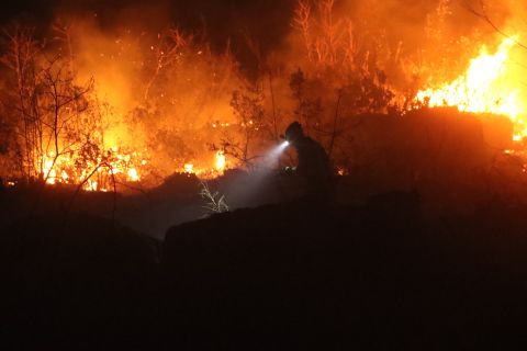 Massive fires break out in Syria's Latakia, Tartus