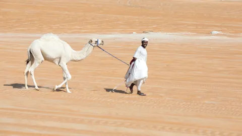 الإمارات: إعفاء رعايا السودان من غرامات الإقامة