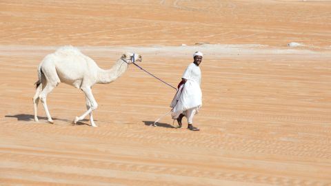 الإمارات: إعفاء رعايا السودان من غرامات الإقامة