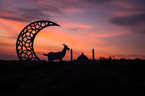 Egyptian researchers reveal the first day of Eid al-Adha