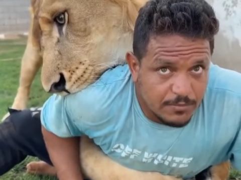 الموفد الأميركي.. انتهينا من لبنان والدور على إسرائيل