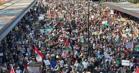 بشكل غير مسبوق.. مدن العالم تقف مع غزة