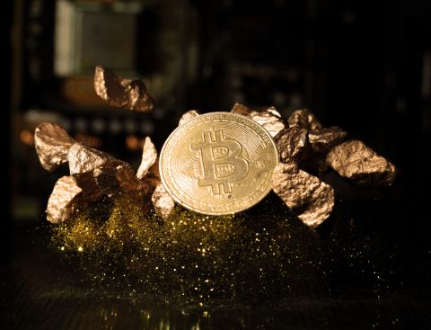 أسعار العملات المشفرة مقابل الدولار
