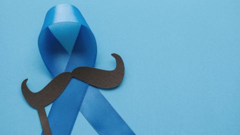 ما هو موفمبر؟ ومن أين جاءت التسمية؟