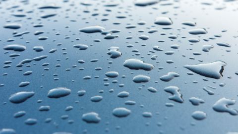 ماذا قال الشعراء عن الشتاء؟