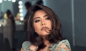 شقيق شيرين عبد الوهّاب يثير الجدل برسالته.. والكشف عن النجمة التي أنقذتها