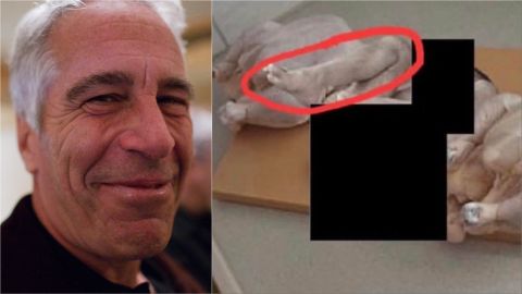 Photo of baby leg between chickens: Is it in the Epstein files?